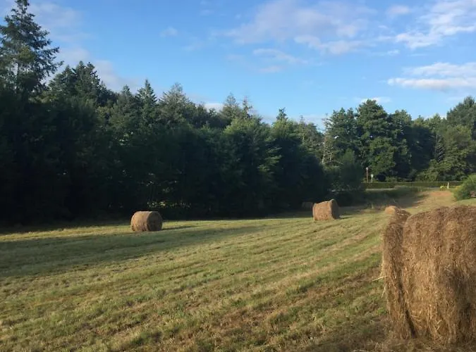 Slashdindonneau * Chirac (Charente)